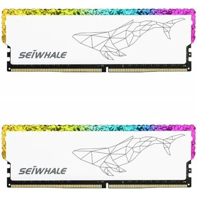Seiwhale 16GB DDR5